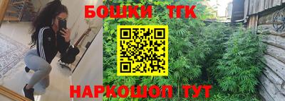 крисы Будённовск