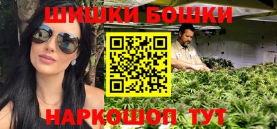 крисы Будённовск