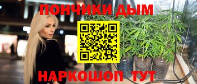 крисы Будённовск