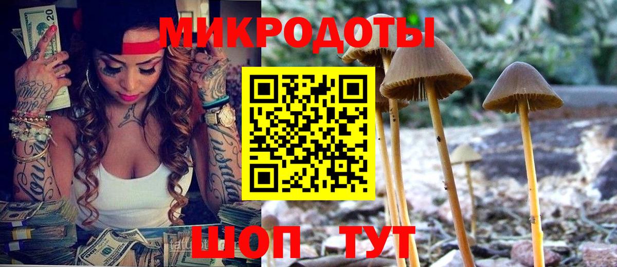 Галлюциногенные грибы мухоморы  Вход с VPN  Галлюциногенные грибы GOLDEN TEACHER  где можно купить   Кыштым 